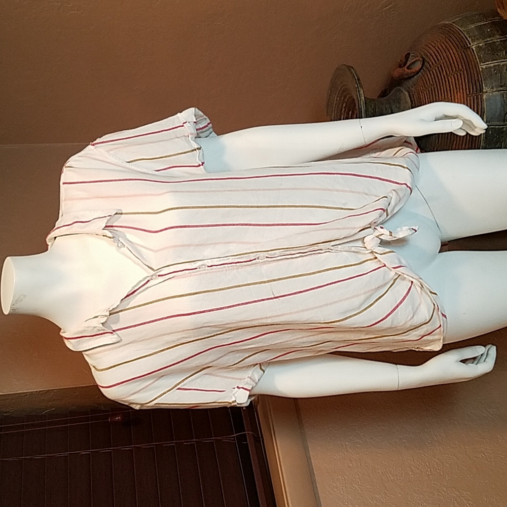 Two Blouses - image 1